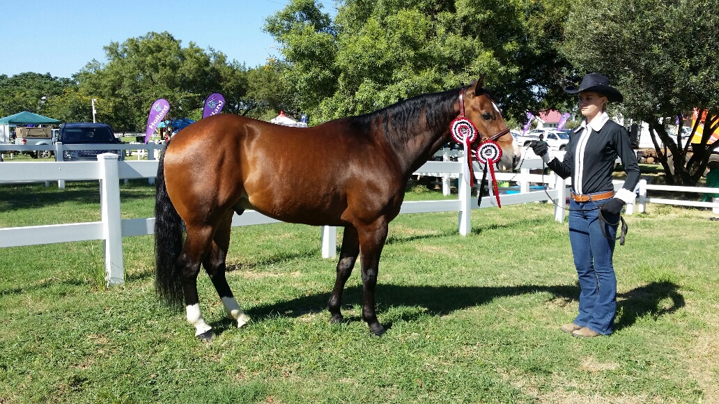 Topsail-Gun-HOY